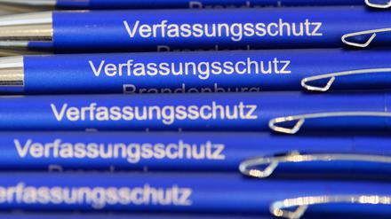 In Brandenburg gilt der AfD-Landesverband bislang als rechtsextremistischer Verdachtsfall. Wird sich das nach einer neuen Bewertung des Verfassungsschutzes ändern? (Archivbild)