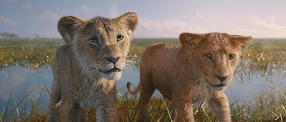 Ziemlich beste Freude, zumindest als Löwenbabys. Taka (links) und Musafa in Disney-Tiermusical „Mufasa: Der König der Löwen“.