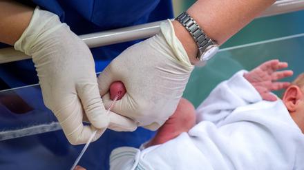  Für das Neugeborenen-Screening werden Babys ein paar Tropfen Blut entnommen, (Archivbild)