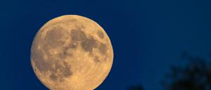Der Mond leuchtet am Abendhimmel.