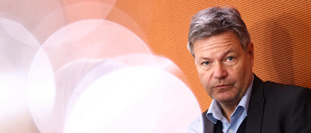Wirtschaftsminister Robert Habeck bei einer Kabinettssitzung am 18. Dezember.