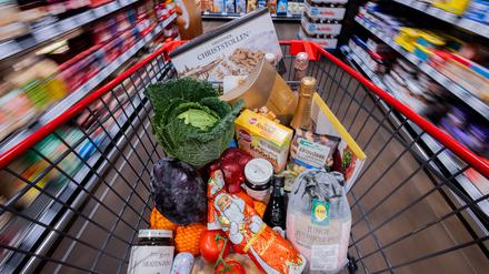 Ein voller Einkaufswagen mit einer Polnischen Ente, Gemüse, Obst, Christstollen, Knödel, Sekt, Wein, Pralinen und Schokoladen-Weihnachtsmännern wird an Regalen vorbei in einem Supermarkt geschoben. 
