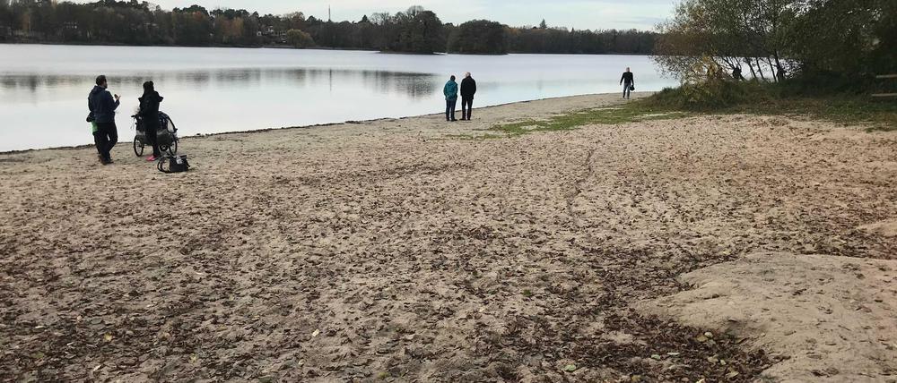 Herbst 2020, Glienicker See, Berlin-Kladow. Badestelle Moorloch. Unten rechts ist die alte Wasserlinie zu erkennen. Der Strand war früher nicht so breit.