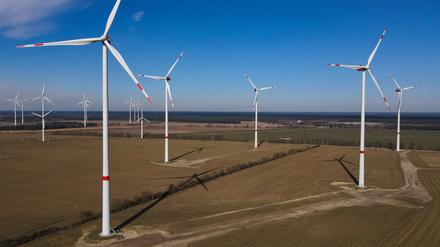 Der Windpark «Albertshof» der Berliner Stadtwerke. Potenzialstudien für Windkraft-Standorte in Berlin gebe es bereits, die Standortsuche werdeaber nicht genug vorangetrieben, meint Julia Epp.