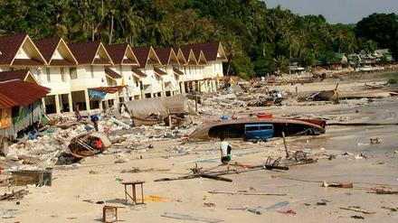 Küstenregionen in Thailand und anderen Ländern waren von den Riesenwellen zerstört worden. 