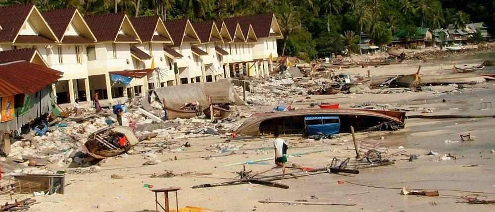 Küstenregionen in Thailand und anderen Ländern waren von den Riesenwellen zerstört worden.
