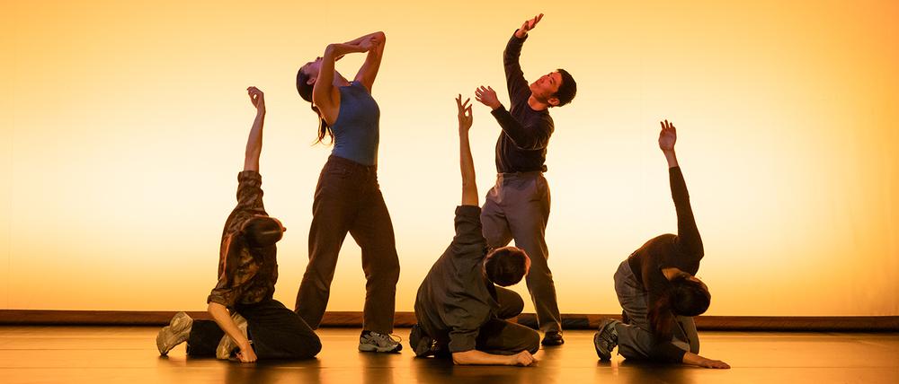 Im Lichte der Sonne, Szene aus „Earth Works“ von Sergiu Matis.