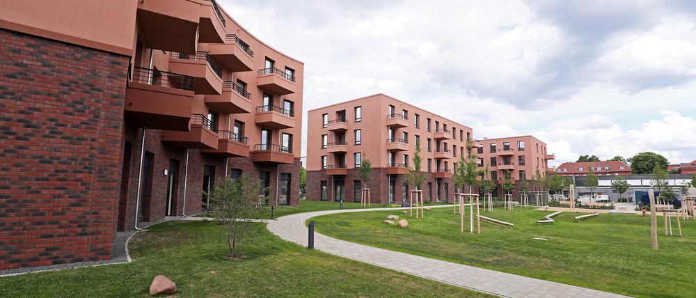 Begehrt: Wohnungen der Pro Potsdam im Bornstedter Feld