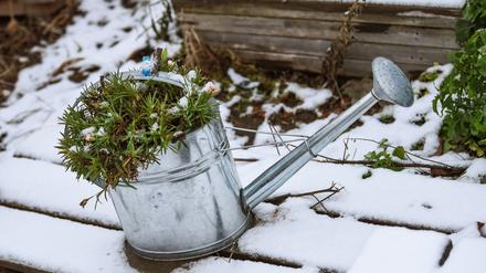 Kurz vor Weihnachten schneit es örtlich in Berlin und Brandenburg, doch zu den Feiertagen selbst, ist davon nichts (Archivbild)