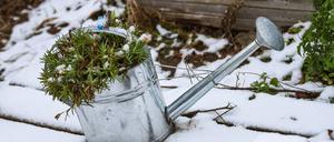 Kurz vor Weihnachten schneit es örtlich in Berlin und Brandenburg, doch zu den Feiertagen selbst, ist davon nichts (Archivbild)