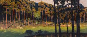 Um 1895 entstand das Gemälde „Märkischer Waldsee mit zwei Birken“.  Laut Nicole Bröhan lässt das Bild „den Einfluss des japanischen Holzschnitts wie auch des Jugendstils erkennen“. 