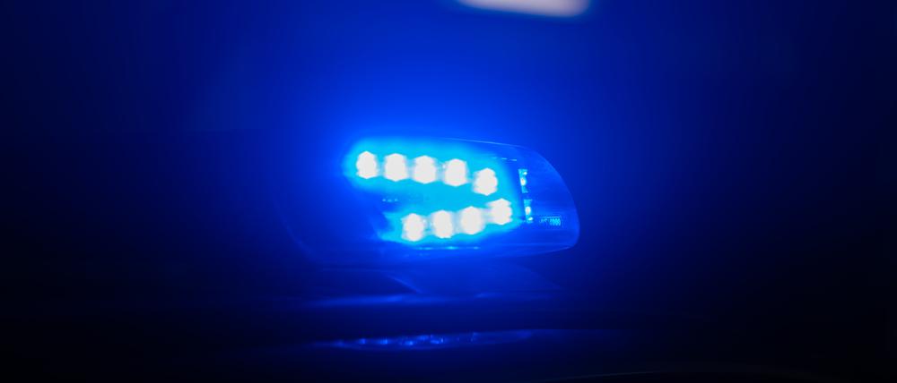 ARCHIV - 18.01.2024, Sachsen, Dresden: Blaulicht leuchtet auf dem Dach eines Polizeiautos. (zu dpa: «Auto fährt gegen Baum - Fahrer tot») Foto: Robert Michael/dpa +++ dpa-Bildfunk +++