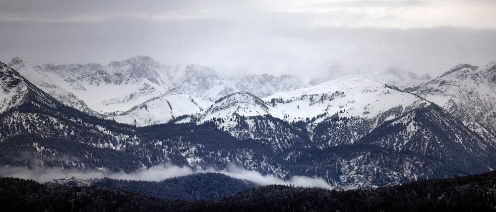 Weiß wird es an Weihnachten wohl nur in Alpennähe.