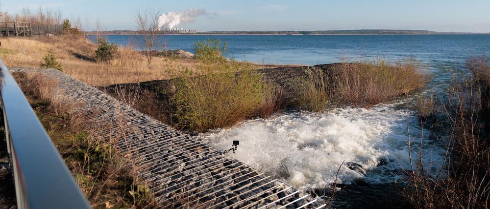 Der künstliche Ostsee ist gefüllt: Der Ziel-Wasserstand für die geflutete Tagebaugruppe in Cottbus-Nord ist nach rund fünfeinhalb Jahren erreicht. 