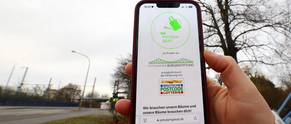 Potsdam gießt. Bürgerstiftung Potsdam startet Baumpflege-Mitmachprojekt "Potsdam gießt" mit gleichnamiger App. 