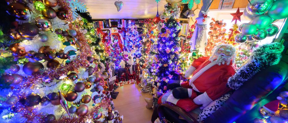 Hunderte Weihnachtsbäume finden in einem Haus in Niedersachsen Platz (Archivbild).