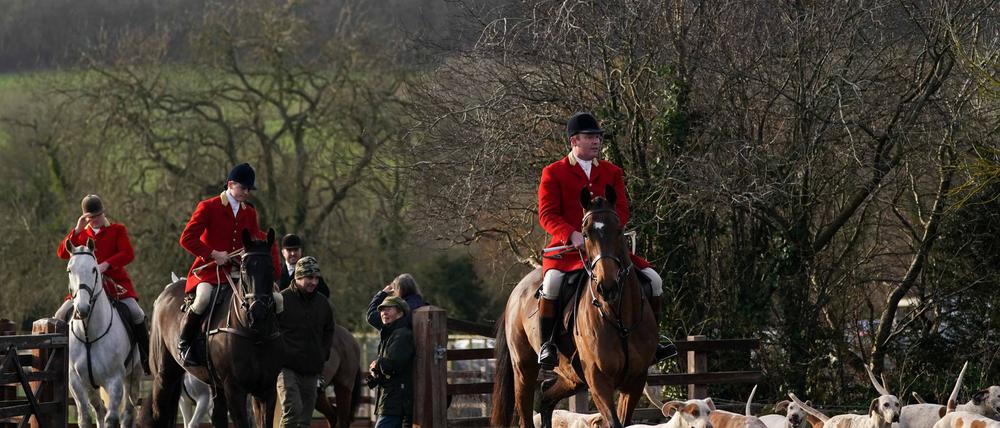 Fuchsjagd in England: Harmlose Tradition oder blutrünstiges Spektakel? (Archivbild)
