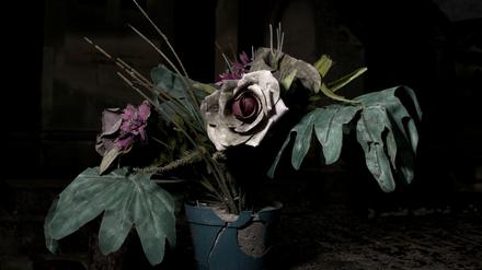 Zwischen schön und schrecklich: Moritz Wehrmanns Fotografie „Les Fleurs du Mal“ von 2021.