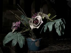 Zwischen schön und schrecklich: Moritz Wehrmanns Fotografie „Les Fleurs du Mal“ von 2021.