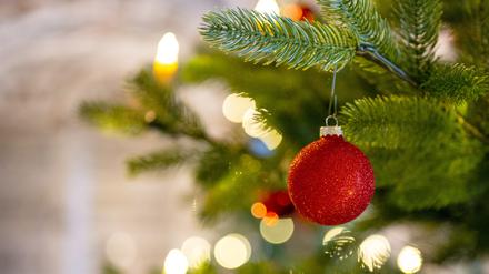 Rote Weihnachtskugel, grüner Weihnachtsbaum.