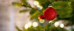 Rote Weihnachtskugel, grüner Weihnachtsbaum.