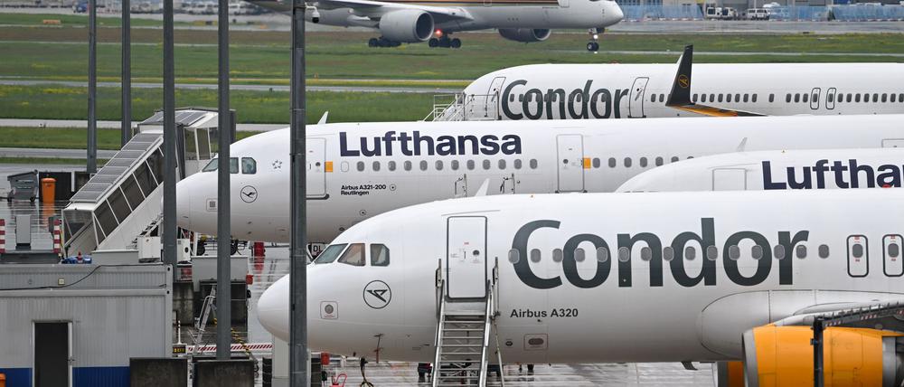 Bislang werden viele Condor-Passagiere von der Lufthansa nach Frankfurt geflogen. 