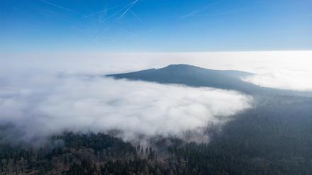 Meteorologen sagen Wind und Sonne zum Jahreswechsel voraus.