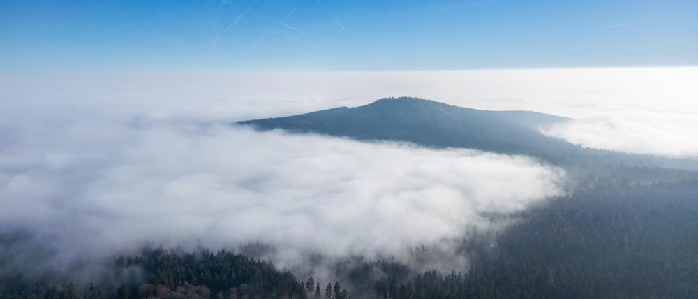 Meteorologen sagen Wind und Sonne zum Jahreswechsel voraus.