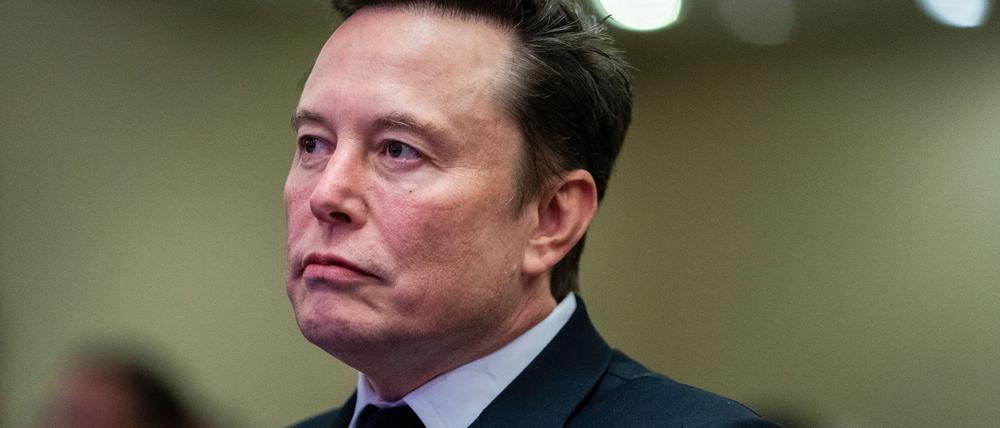 Die stellvertretende Regierungssprecherin weist darauf hin, dass Musk eine vom Verfassungsschutz beobachtete Partei empfiehlt.