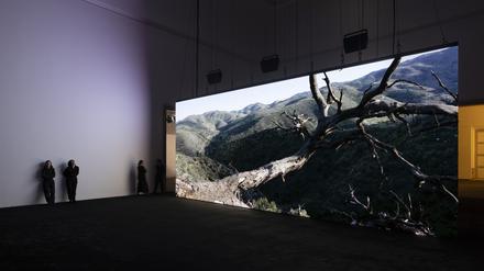 Es wird heiß: Ausstellungsansicht mit Filmleinwand und Liveschalte nach Almeria.