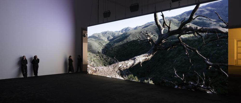 Es wird heiß: Ausstellungsansicht mit Filmleinwand und Liveschalte nach Almeria.