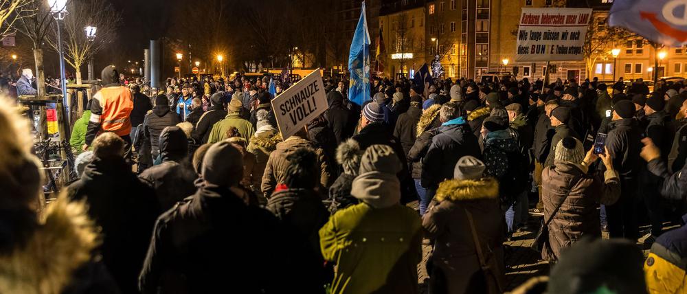 Hunderte kamen zu  der AfD-Kundgebung. 
