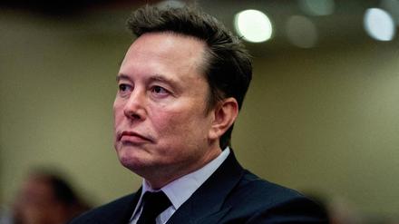 Tech-Milliardär und Berater von Donald-Trump: Elon Musk.