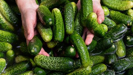 Gewürzgurken-Margaritas, Gewürzgurken-Pommes und sogar Gewürzgurken-Kuchen - wird das ein Foodtrend? (Symbolbild)