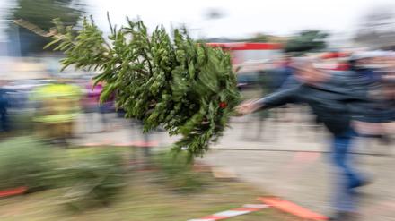 Ein Mann wirft beim traditionellen Weihnachtsbaumweitwurf der Ströbitzer Feuerwehr einen Baum.