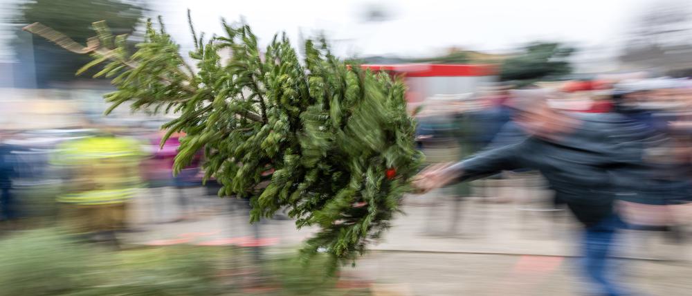 Ein Mann wirft beim traditionellen Weihnachtsbaumweitwurf der Ströbitzer Feuerwehr einen Baum.