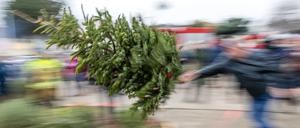Ein Mann wirft beim traditionellen Weihnachtsbaumweitwurf der Ströbitzer Feuerwehr einen Baum.