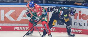 Gabriel Fontaine (r.) hat sich mit den Eisbären aus dem Zwischentief befreit.