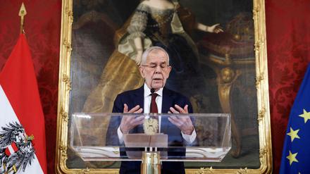 Österreichs Bundespräsident van der Bellen will am Montag mit FPÖ-Chef Kickl über eine Regierungsbildung sprechen.