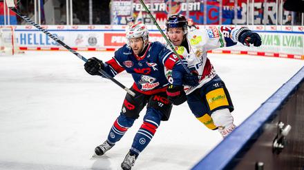 Gut in Schwung ... sind die Eisbären und Gabriel Fontaine (rechts).