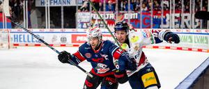 Gut in Schwung ... sind die Eisbären und Gabriel Fontaine (rechts).