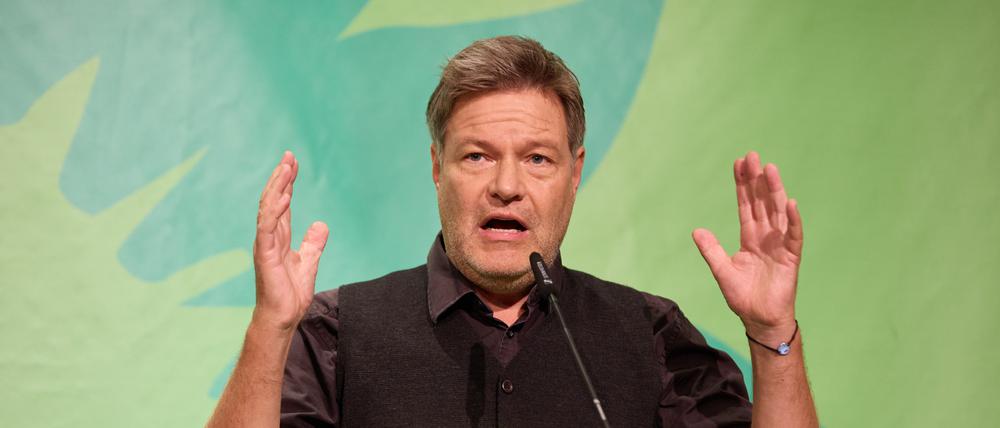 Buchautor, Kanzlerkandidat: Robert Habeck 