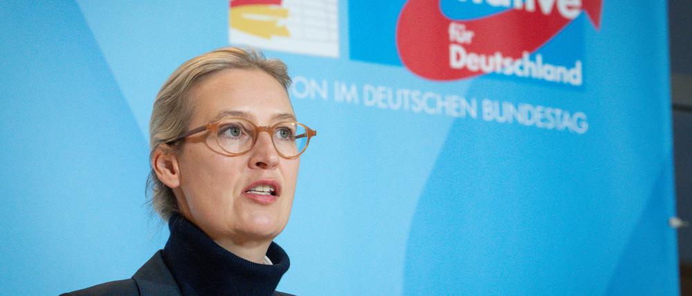 Als Spitzenkandidatin tritt Parteichefin Alice Weidel für die AfD an.