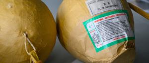 In einem speziellen Gafahrgutcontainer vom Hauptzollamt in Frankfurt (Oder) liegen beschlagnahmte Kugelbomben. 