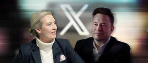 Rund 75 Minuten sprachen Alice Weidel und Elon Musk am Donnerstagabend auf X miteinander. 