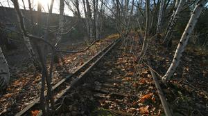 Ehemalige Stammbahngleise bei Zehlendorf