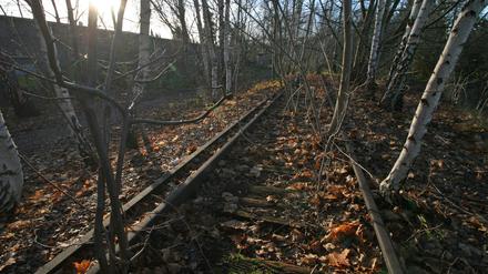 An manchen Stellen liegen noch Gleise, wie hier in Zehlendorf.