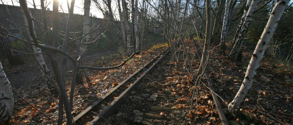 An manchen Stellen liegen noch Gleise, wie hier in Zehlendorf.