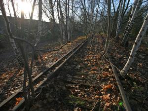 Ehemalige Stammbahngleise bei Zehlendorf