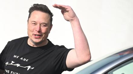 Elon Musk hat mehrmals Wahlwerbung für die AfD betrieben. 